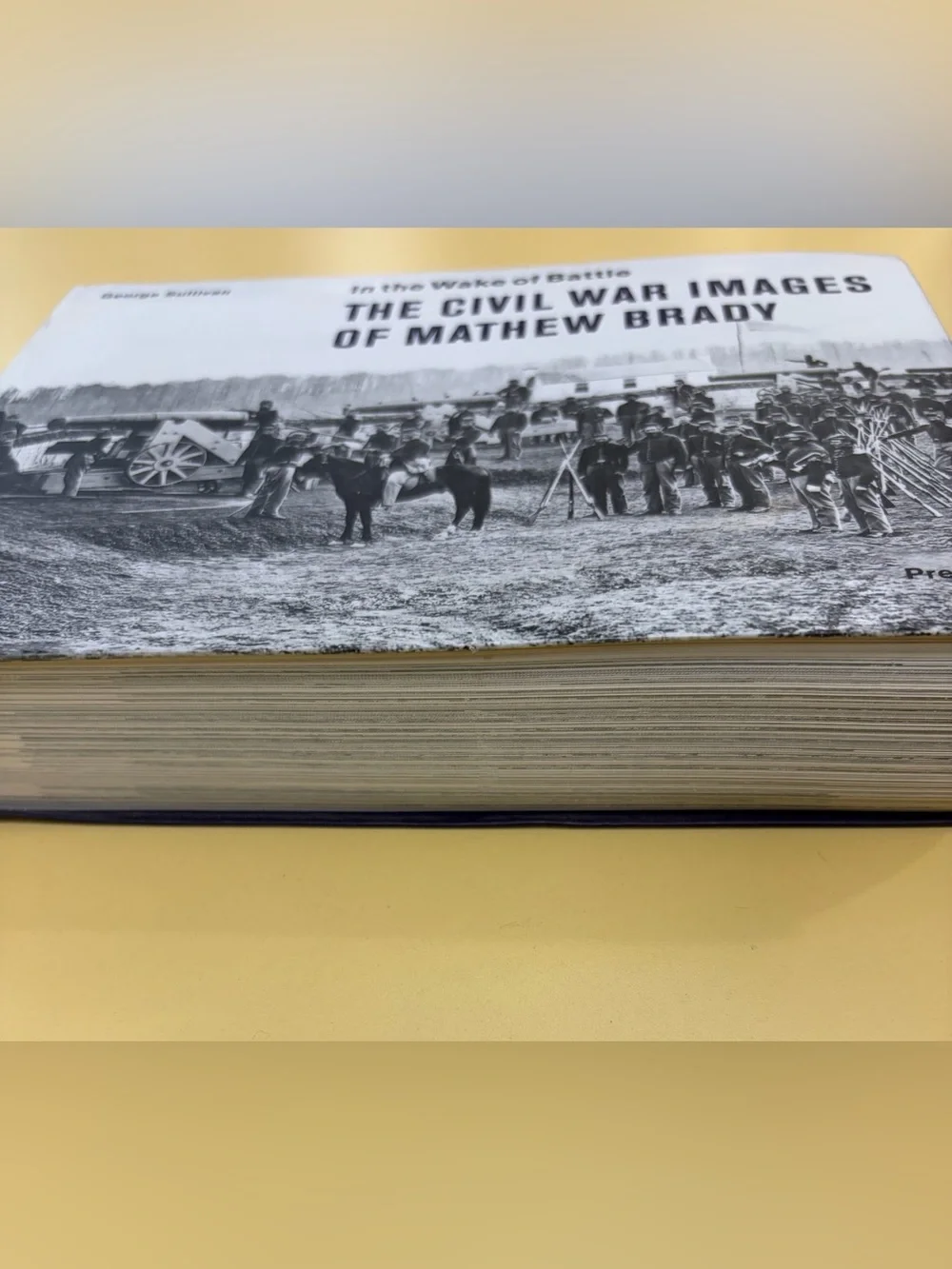 In the Wake of Battle- Civil War Images of Matthew Brady by George Sullivan Book